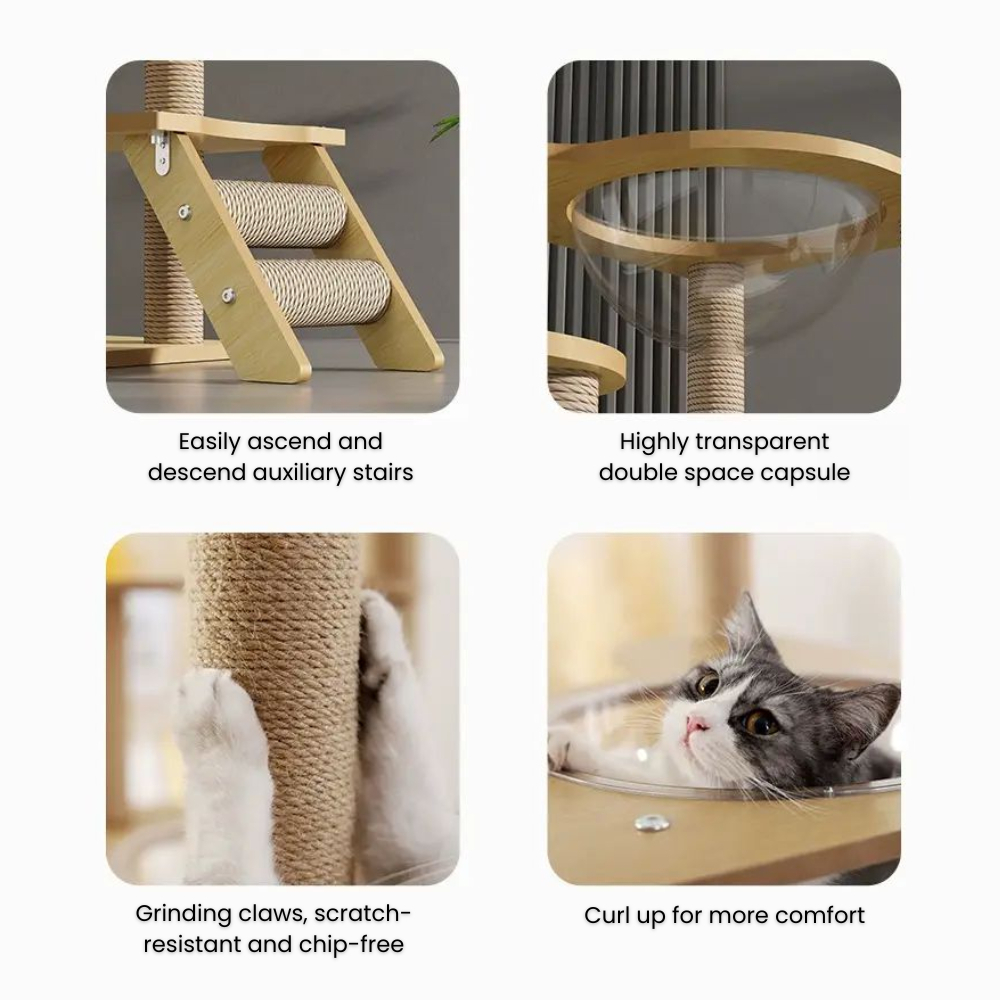 my-11134207-7rasg-mbg4cgcjd604f4