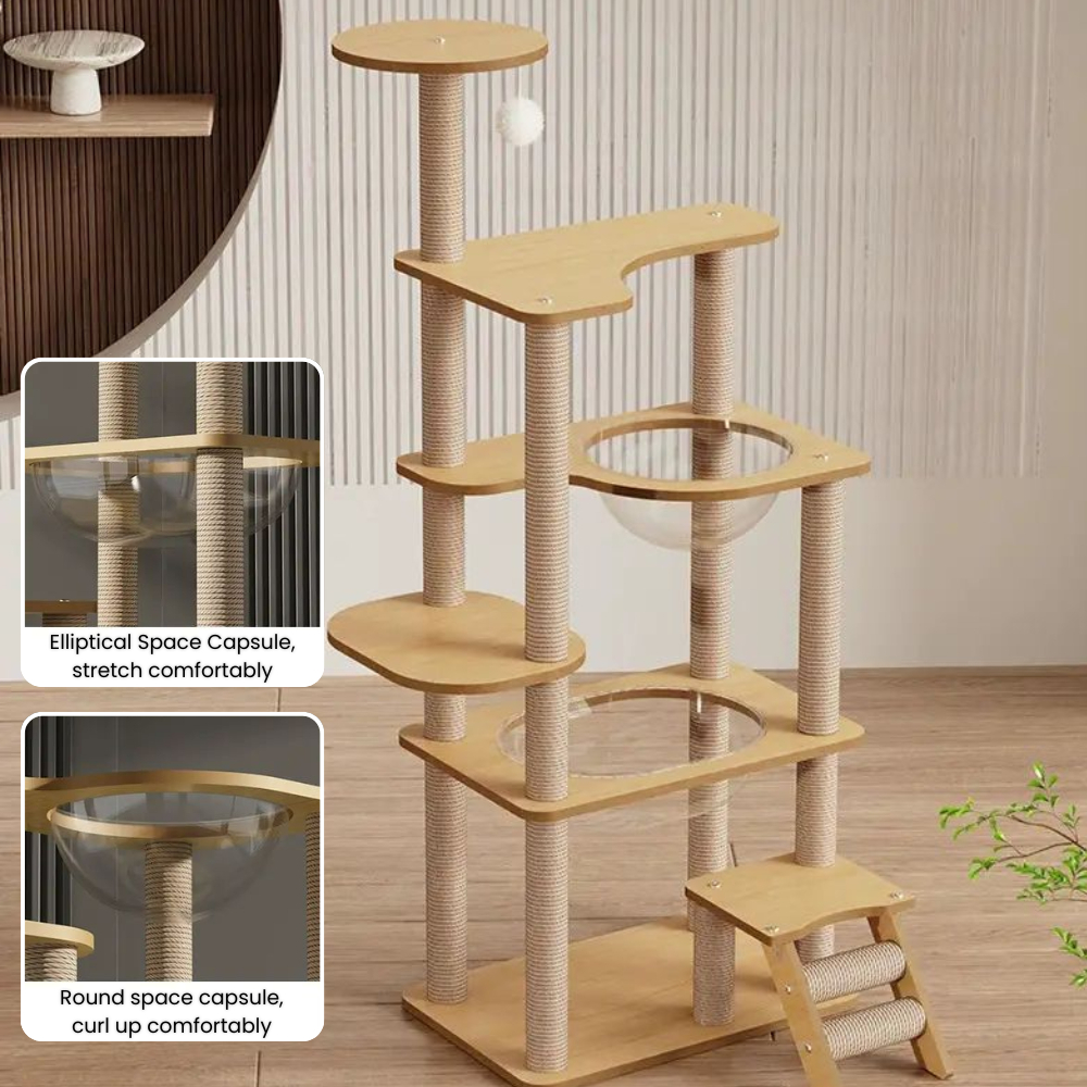 my-11134207-7rase-mbg4cgddby6p35