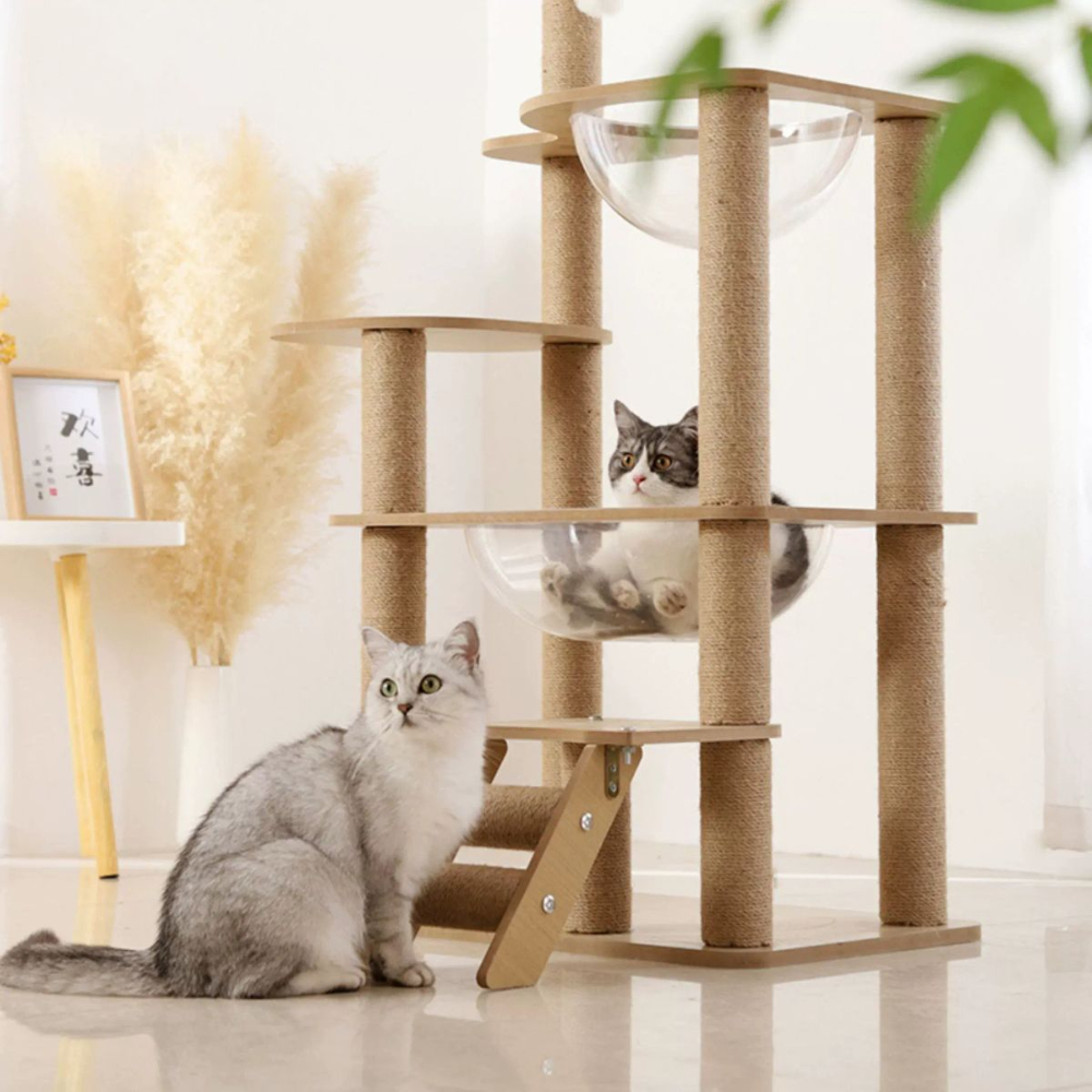 my-11134207-7rask-mbg4cja92gup1f