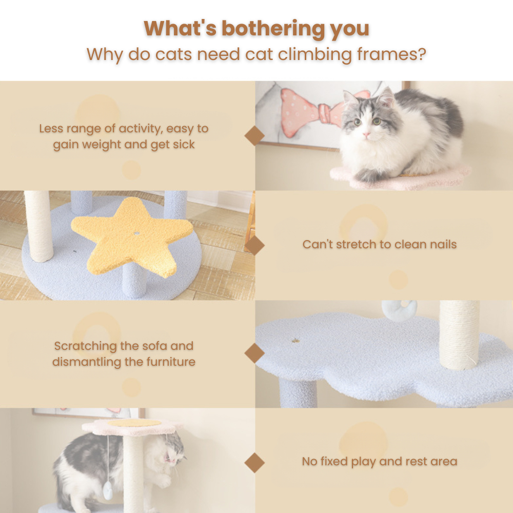 my-11134207-7rasd-mbhkuvu0ejl02a