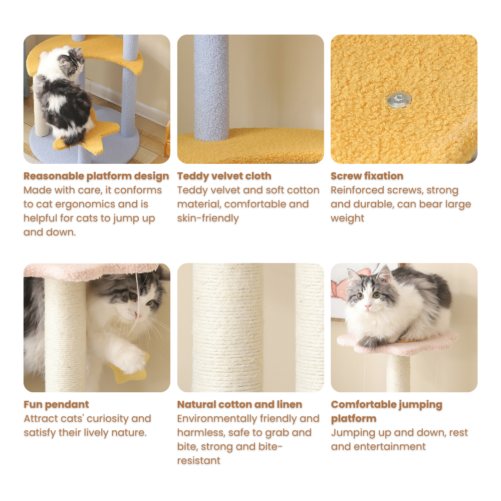 my-11134207-7rasi-mbhkuw183zj805