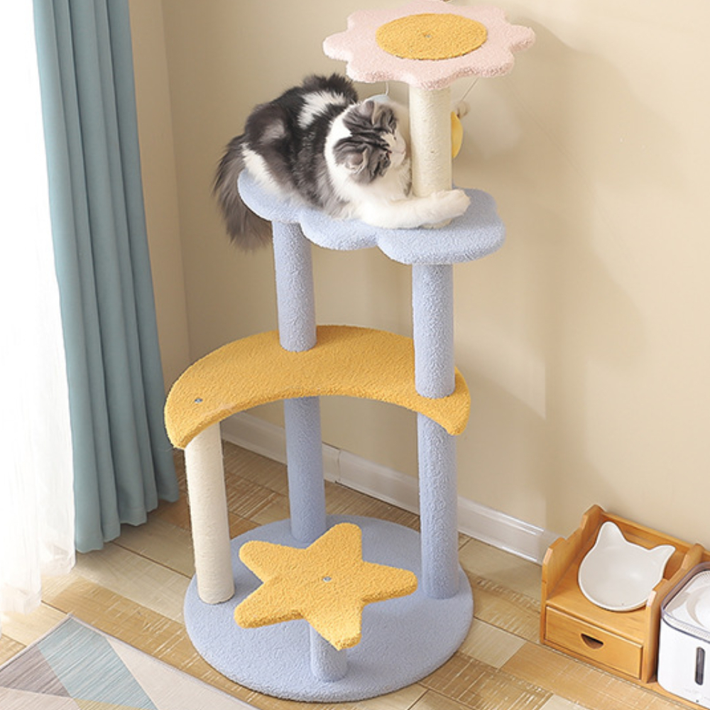 my-11134207-7rasl-mbhkuvy68gcx7f