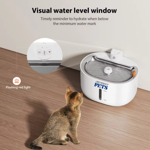 my-11134207-7r98y-lx6drq2p53l647