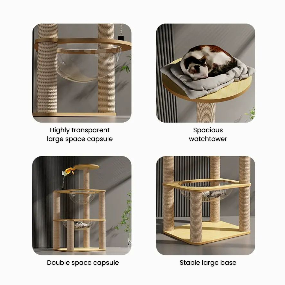 my-11134207-7rasm-mbf3hypr0xl5ba