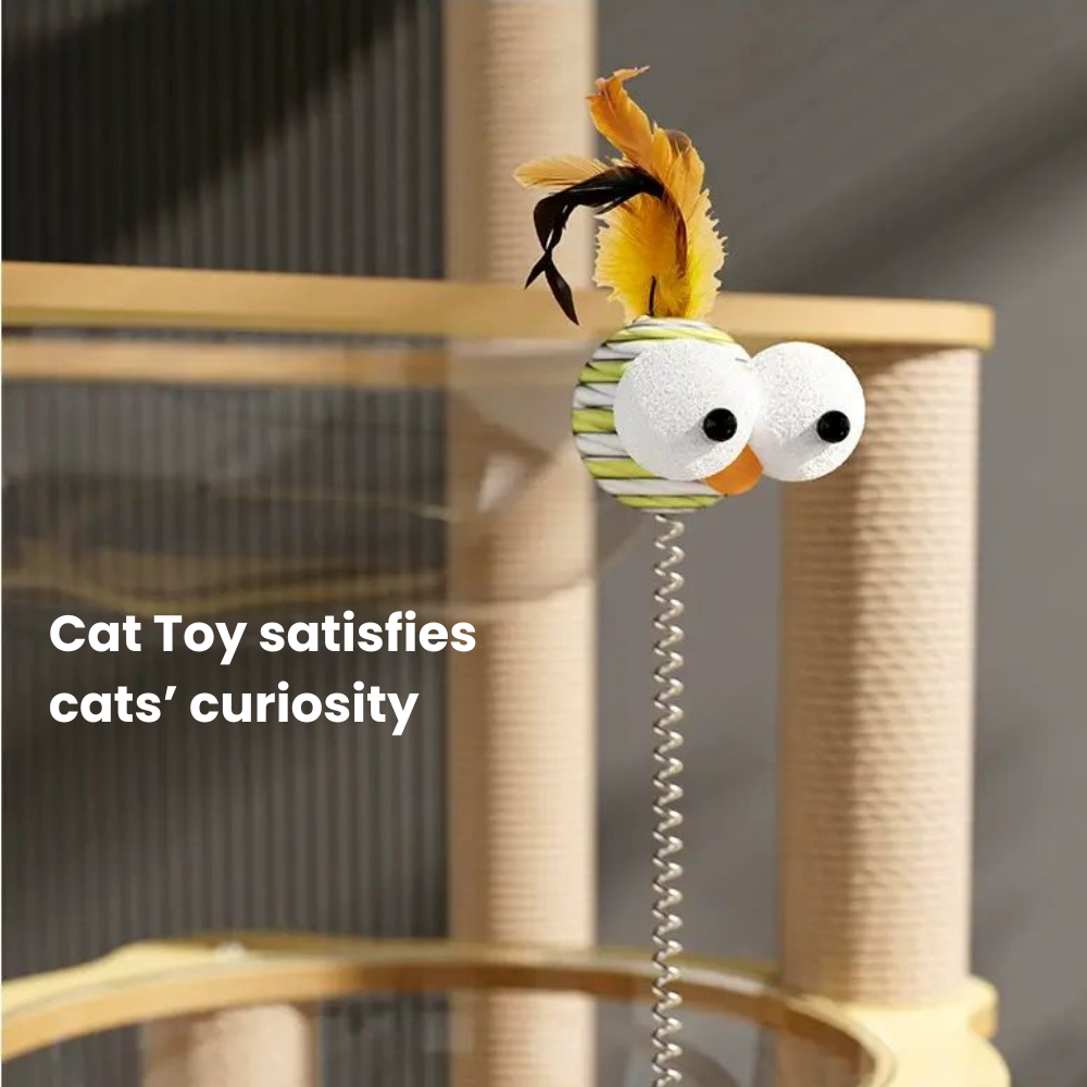 my-11134207-7rasa-mbf3hyon3ylj1f