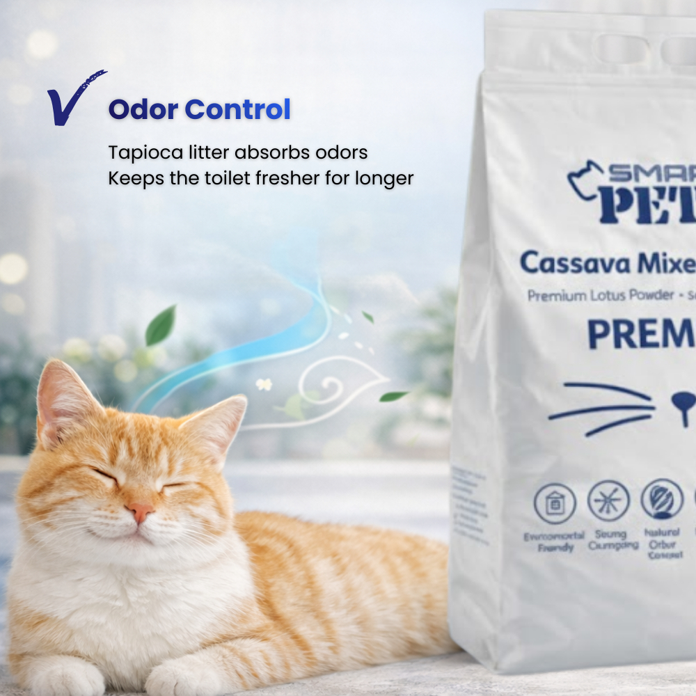 my-11134207-820lf-miu0d3xncmir9c