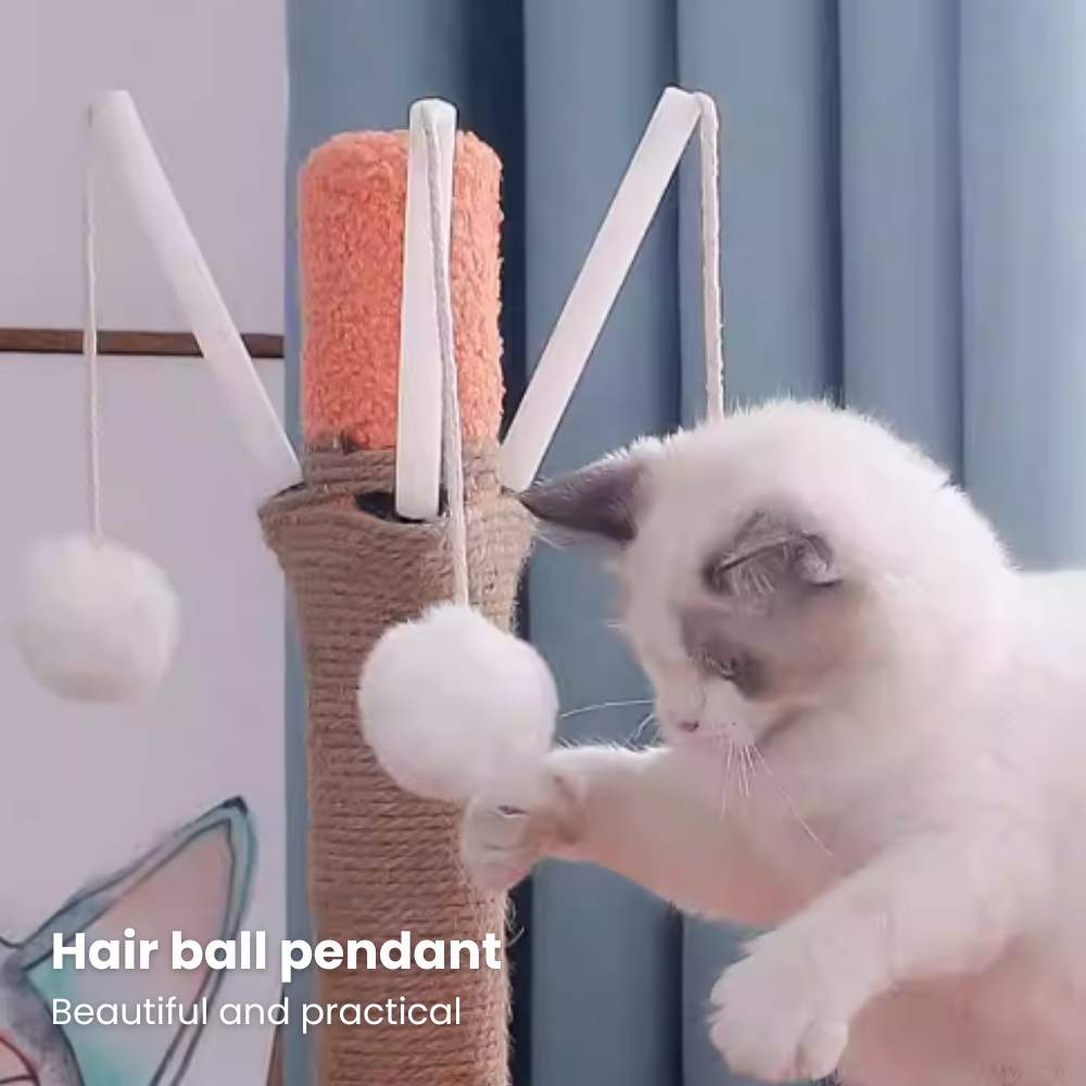 my-11134207-7rash-mbhi02m0p0y19b