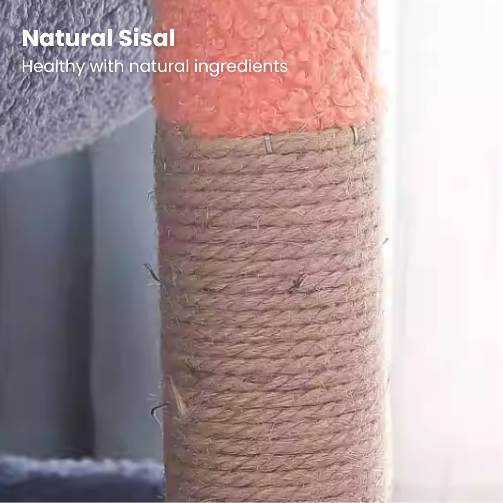 my-11134207-7rasl-mbhi02maombtb6