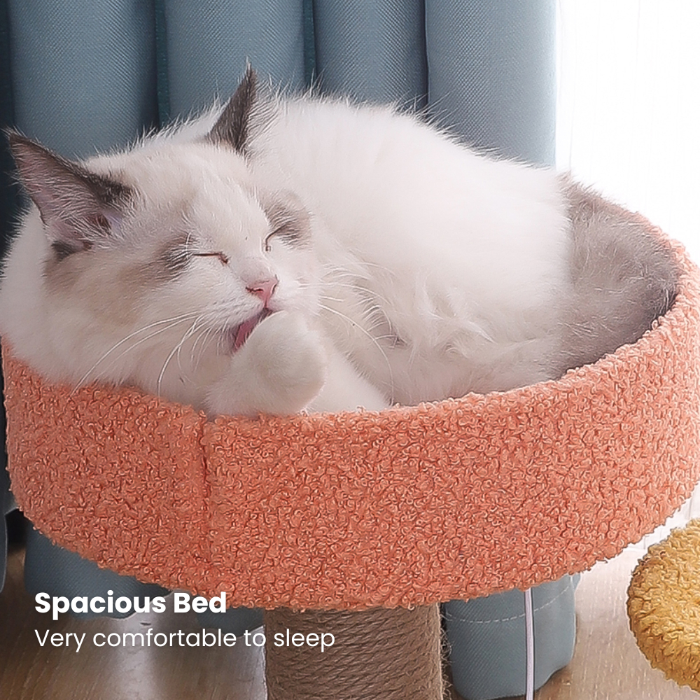 my-11134207-7rasb-mbhi02sefopz90