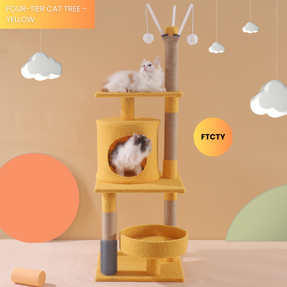 my-11134207-7rasl-maup1rbgffnvcc