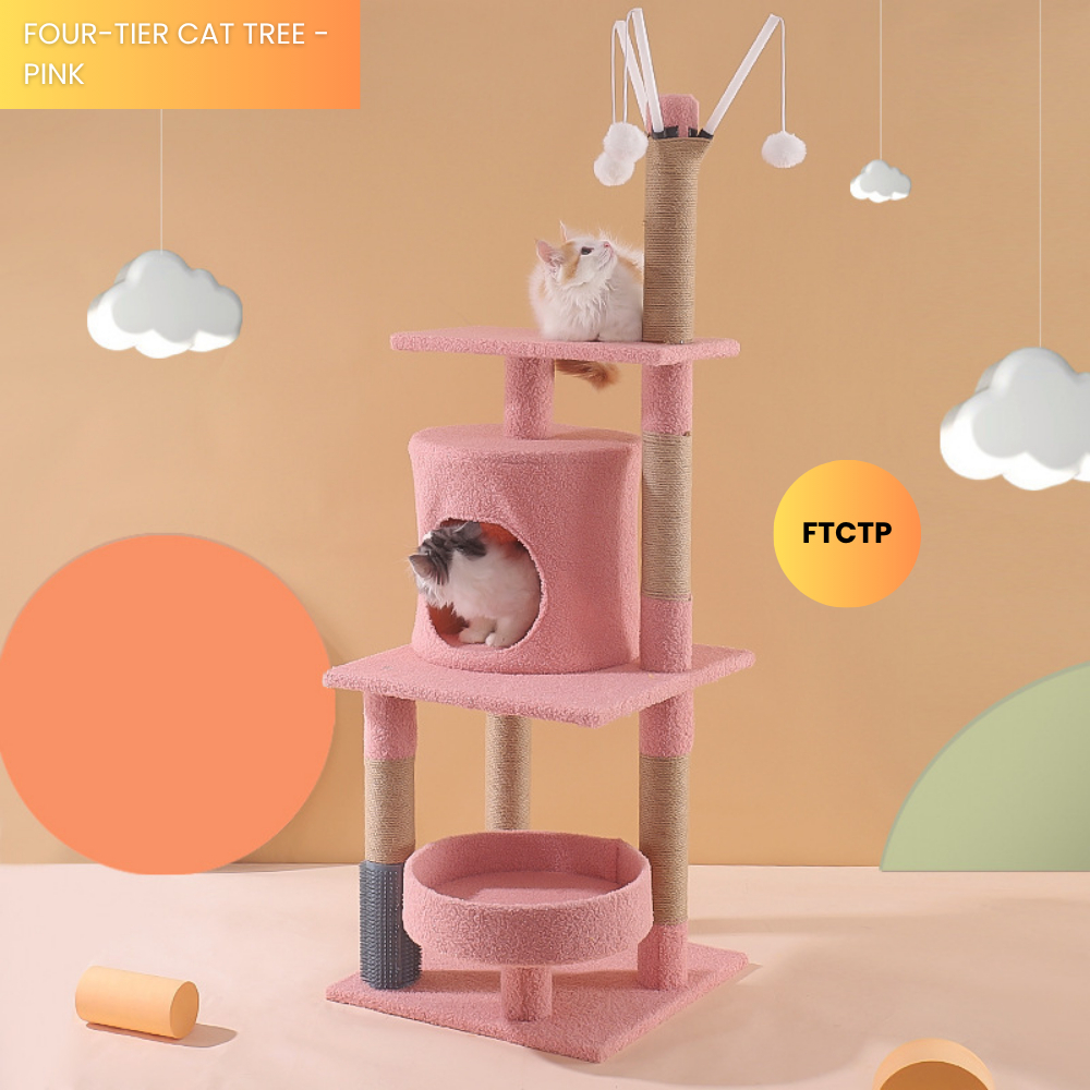 my-11134207-7rasd-maup2ndpiarac6