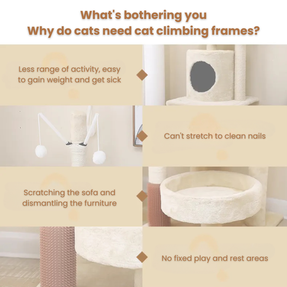 my-11134207-7rasa-mbgjui4sedqh01