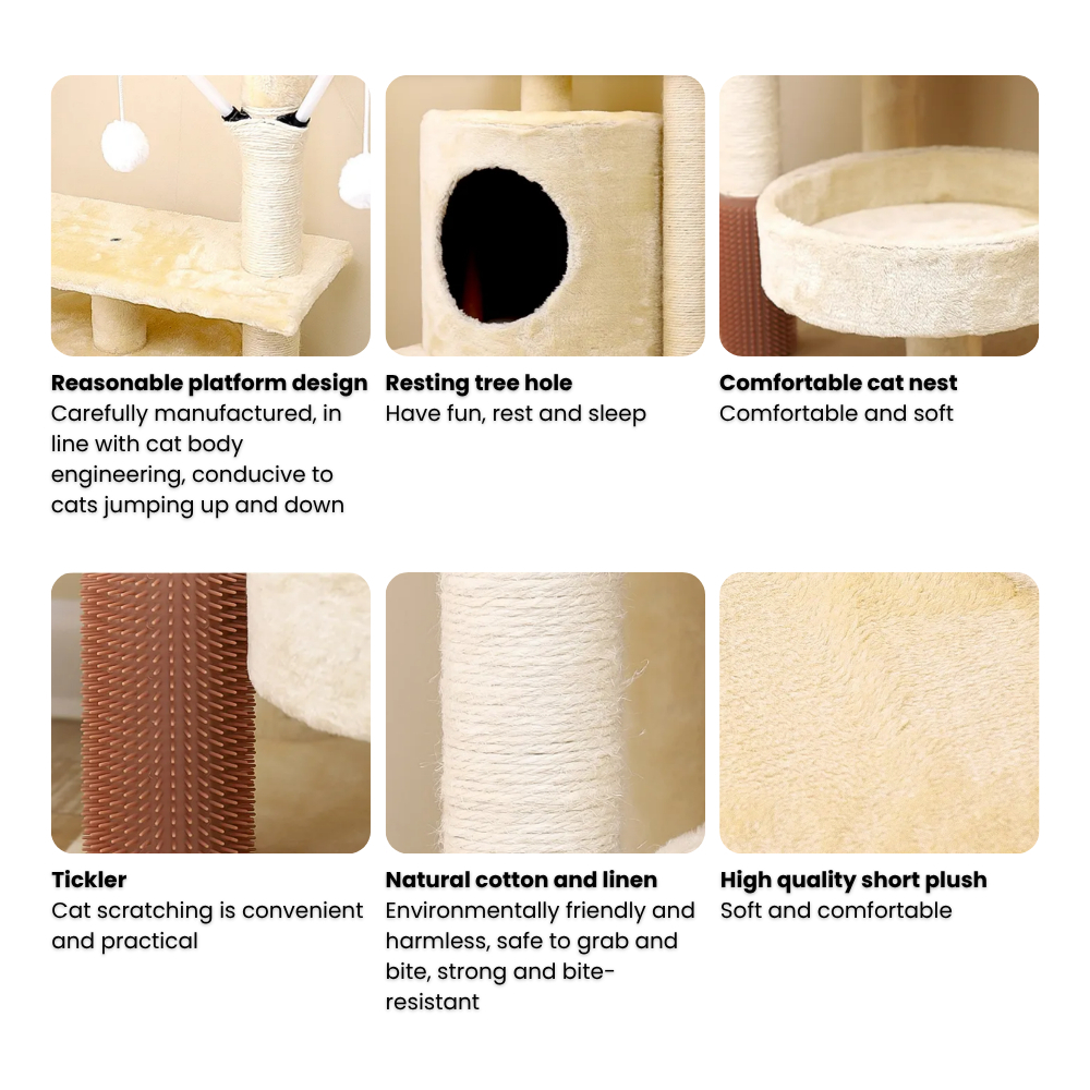 my-11134207-7rasc-mbgjui2uh821cc