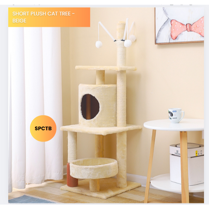 my-11134207-7rasj-mbghn8uvtk9d4d