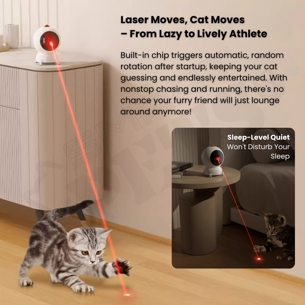 my-11134207-820l9-me9l5hx2poueac