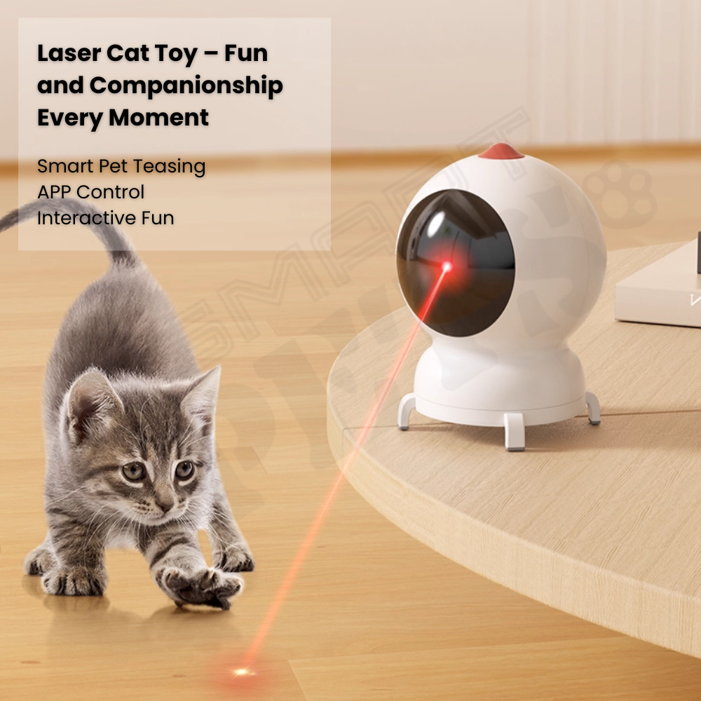 my-11134207-820l5-me9l5sqqe1aafe