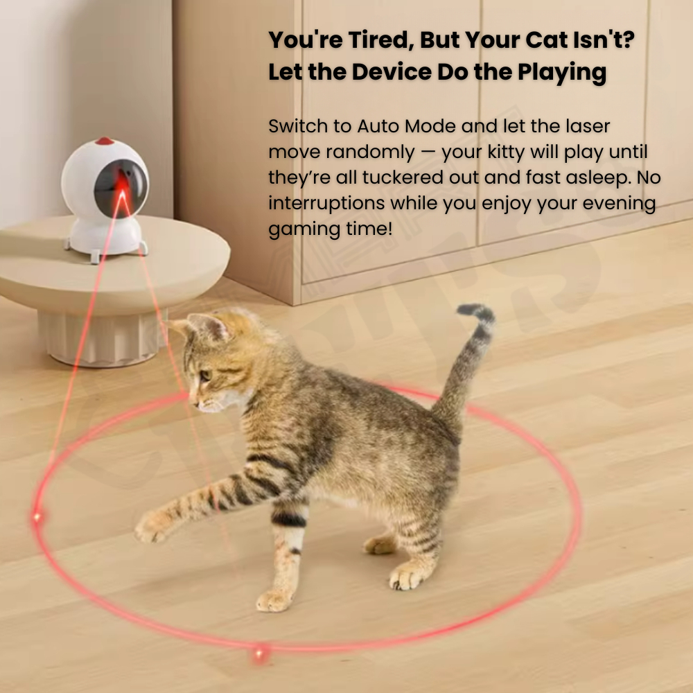 my-11134207-820lh-me9l5knpjq4h43