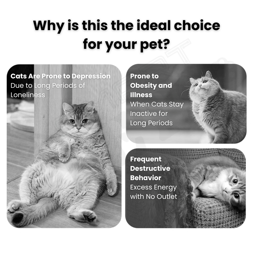 my-11134207-820l4-me9l5mraf5l3dc