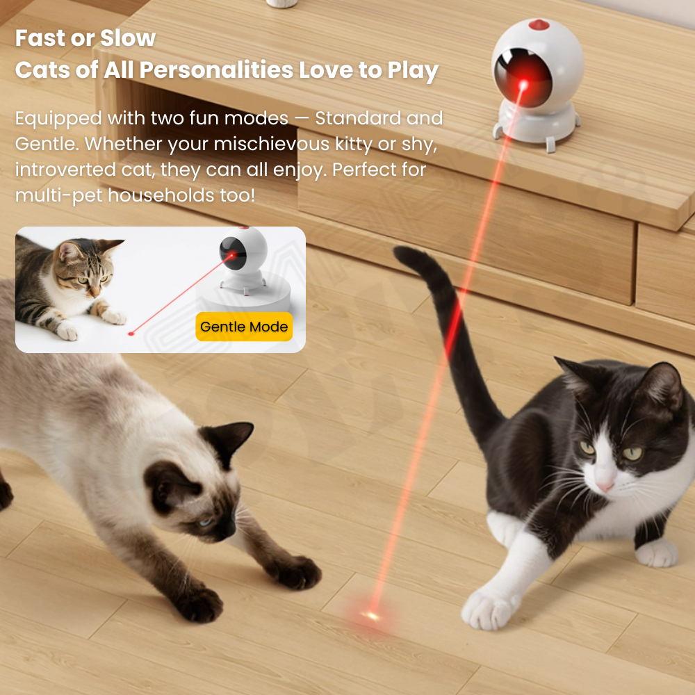 my-11134207-820l6-me9l5po02jnk7c