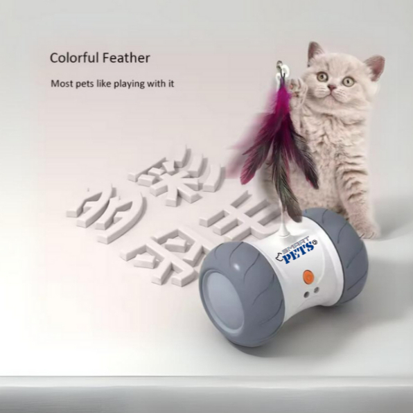 my-11134207-7r98v-lx6emq5sgyga6c