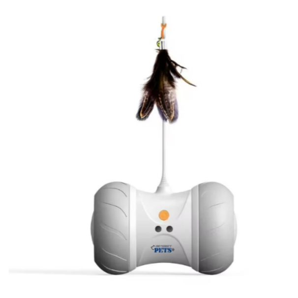 my-11134207-7r98r-lx6emq5rm1kg71