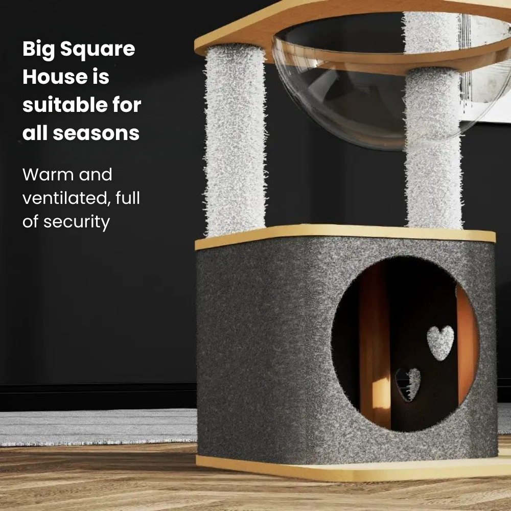 my-11134207-7rasm-mbf1twumngroba