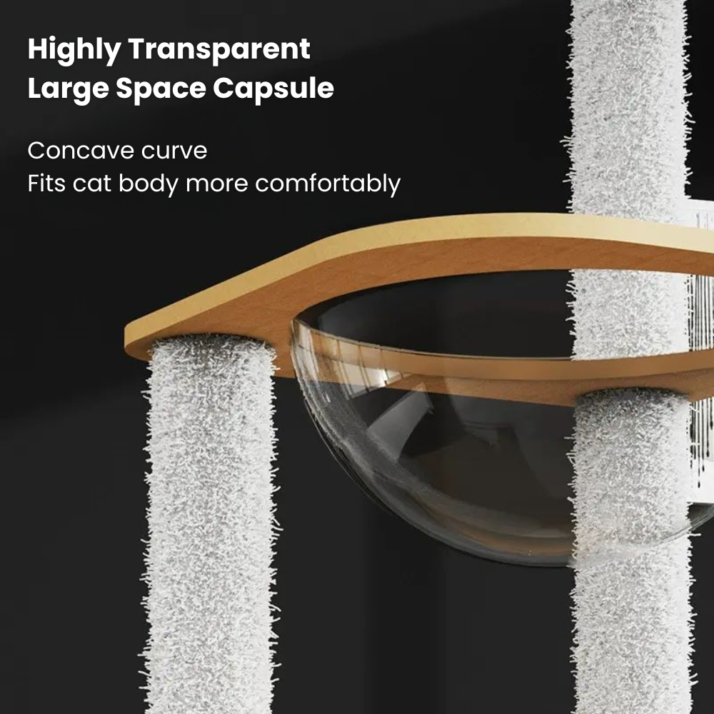 my-11134207-7rasb-mbf1twu2oa1d6f