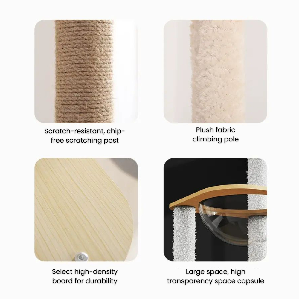 my-11134207-7rask-mbf1twu2oa0441