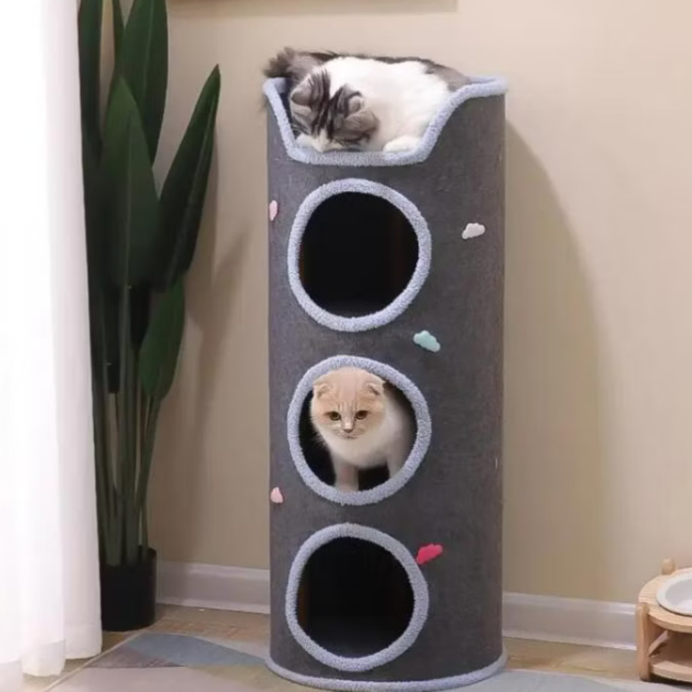 my-11134207-7rasm-mbhq0dfak4br56