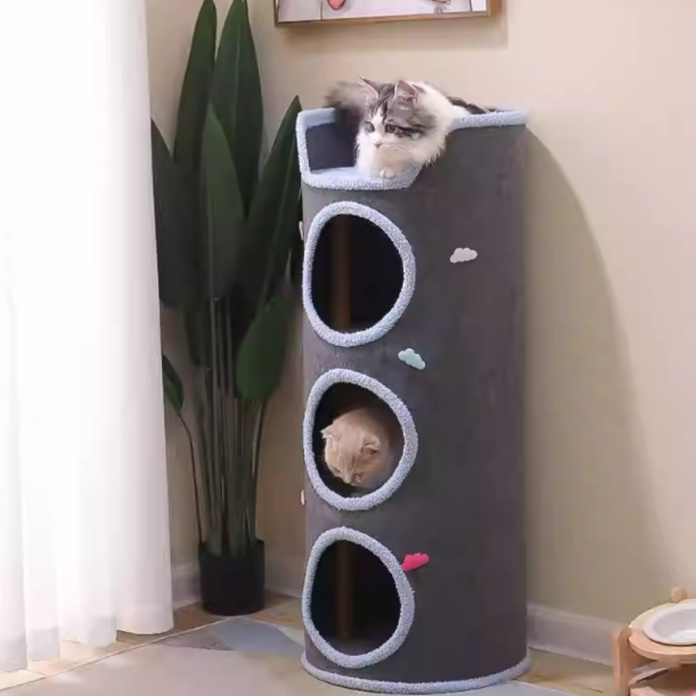 my-11134207-7rasi-mbhq0db4q7m123