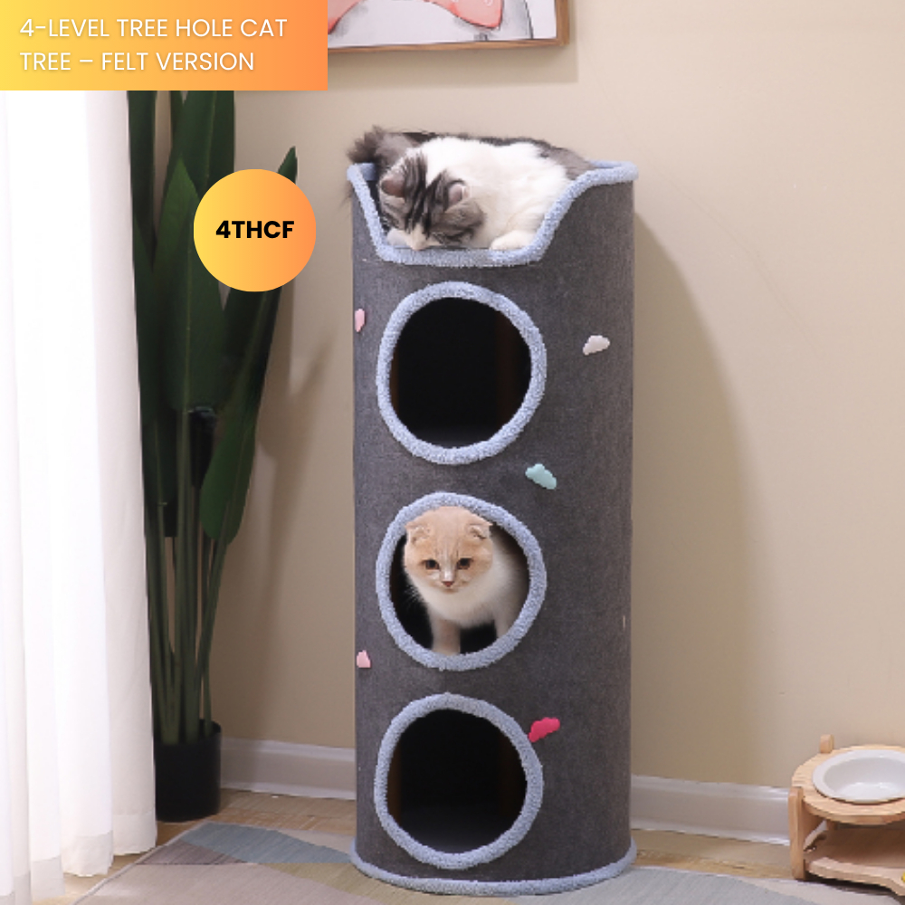 my-11134207-7rasl-maup9jz1q0vq7e