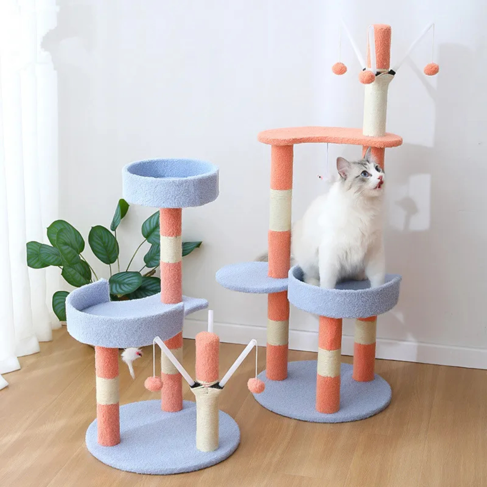 my-11134207-7rask-mbhnz0zaj17583