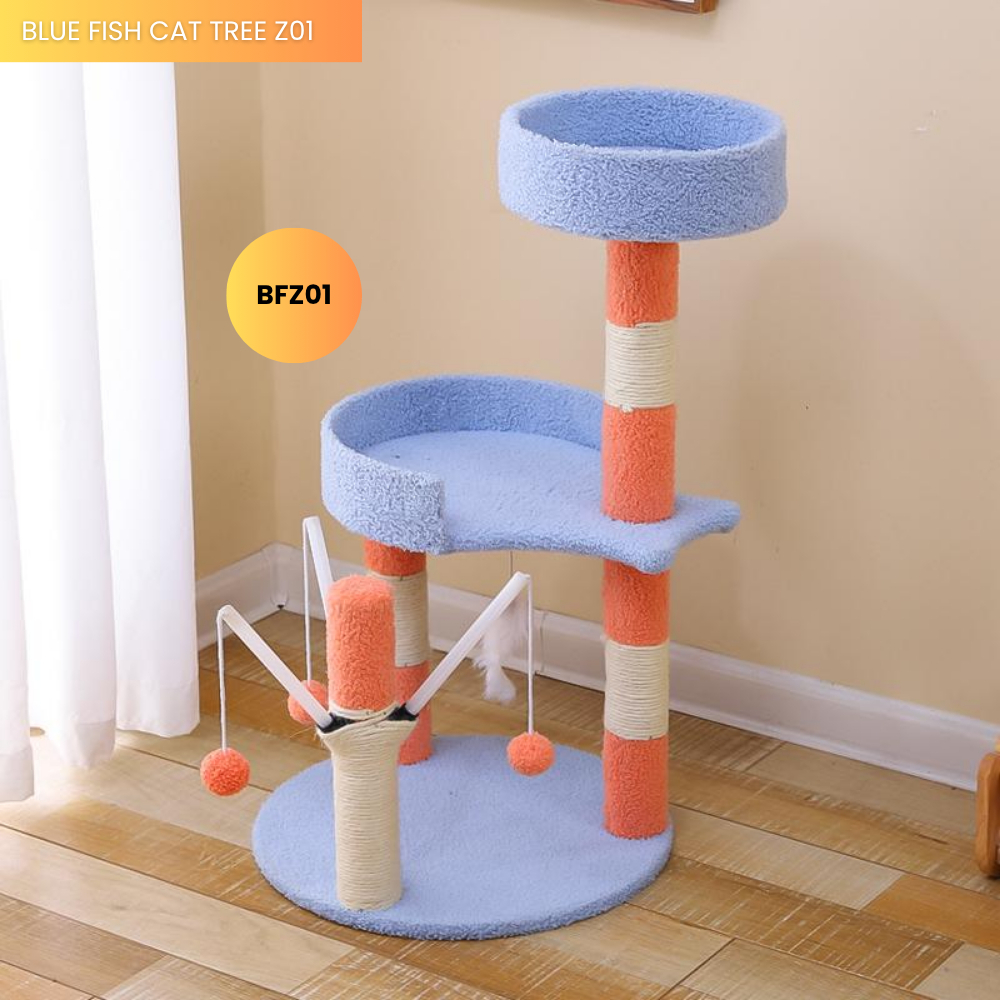 my-11134207-7ras9-maup5btwd5wrad