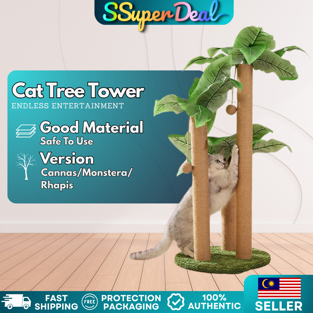 my-11134207-7rasl-mbeqi6y5zg2392