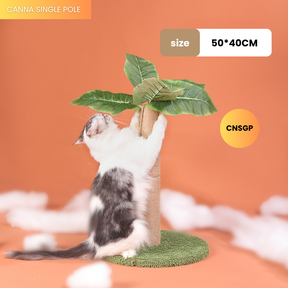 my-11134207-7rase-mauoxlr9akdm12