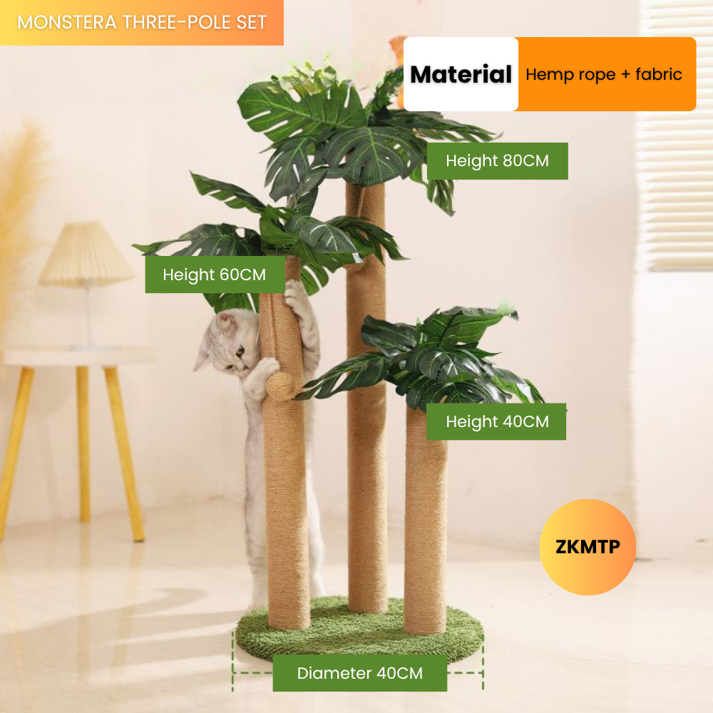 my-11134207-7rase-mauorx0p7oyze5