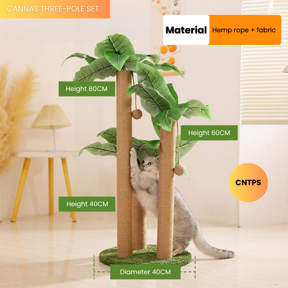 my-11134207-7rasa-mauor4lohicrea