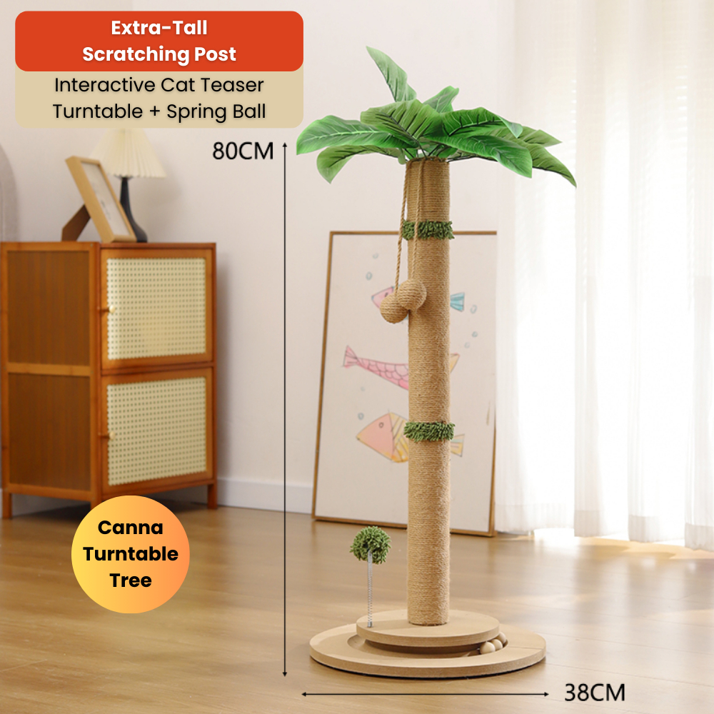 my-11134207-820lh-mifqttcjegw2fa