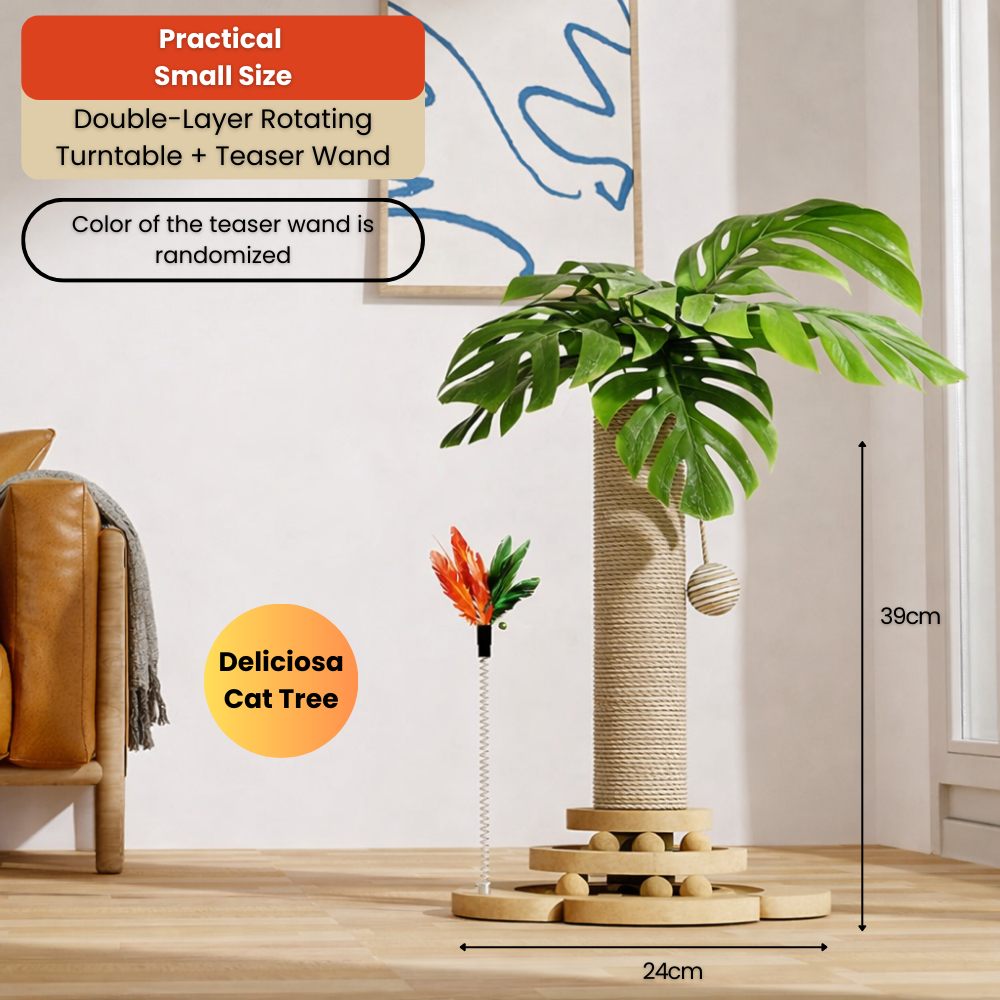 my-11134207-820l5-mijrchfe0s1sa4