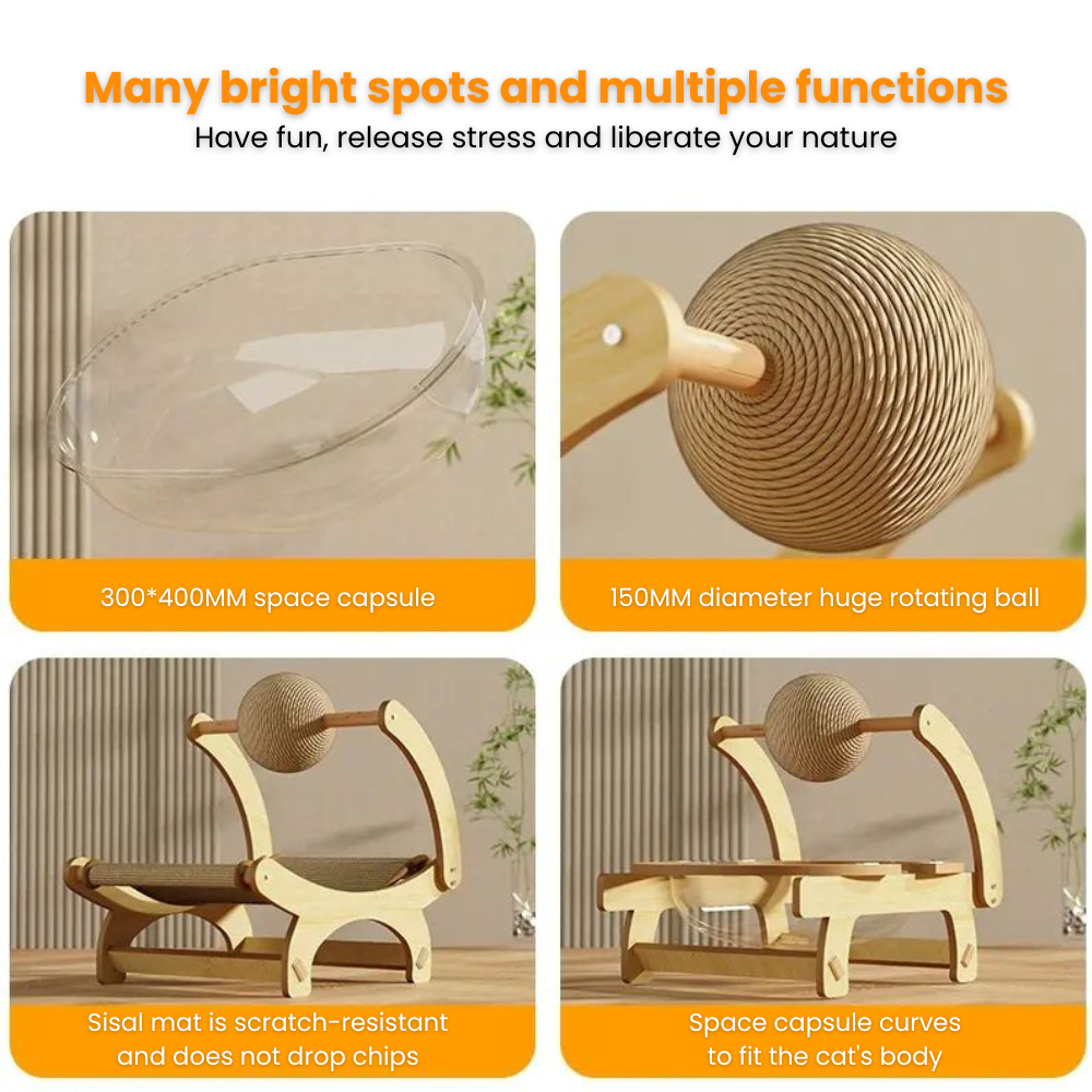 my-11134207-7rasi-mbg7jhkp7ydt0c