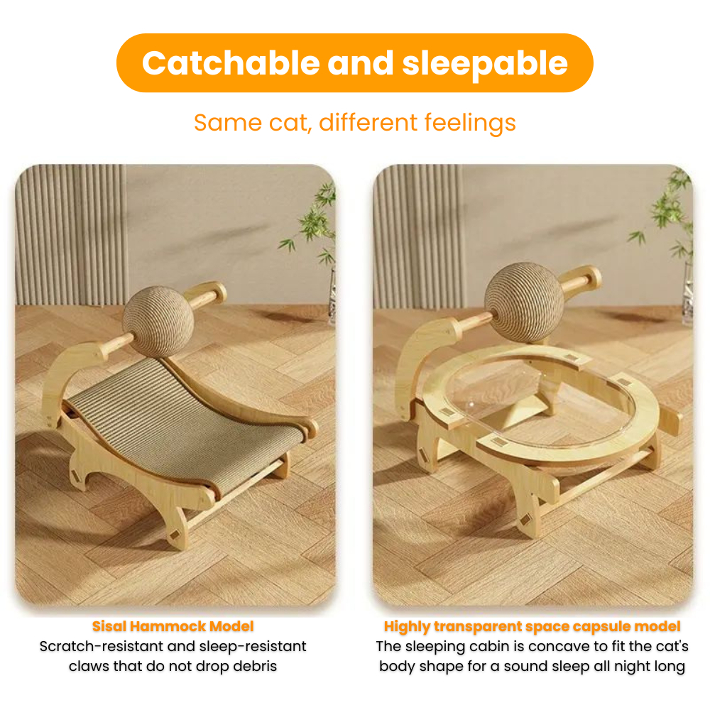 my-11134207-7rasf-mbg7jhm3fr9t1e