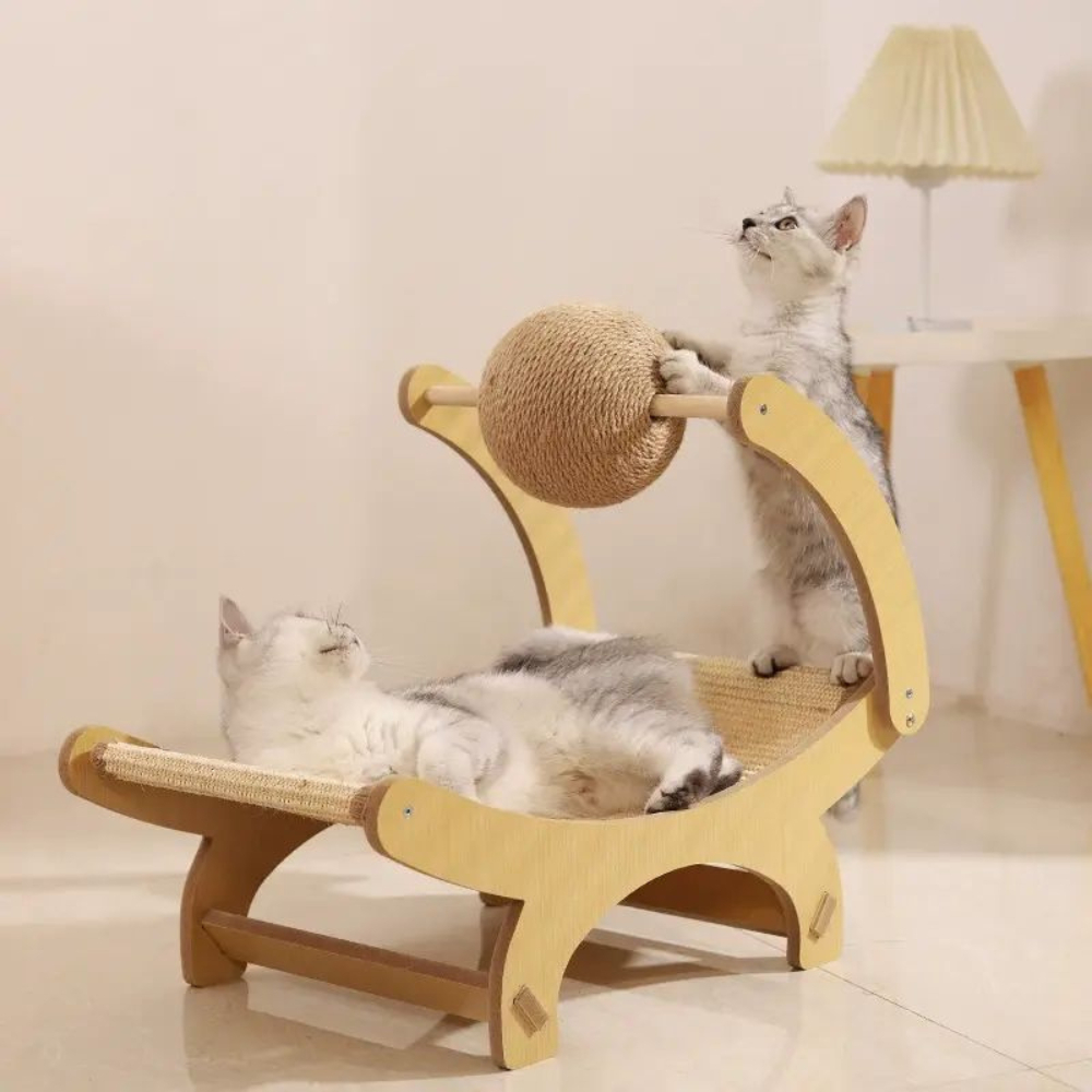 my-11134207-7rasi-mbg7jhol3o9we5