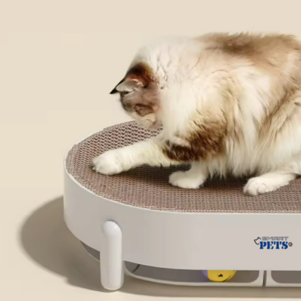 my-11134207-7r98z-lx6emq5s038w92