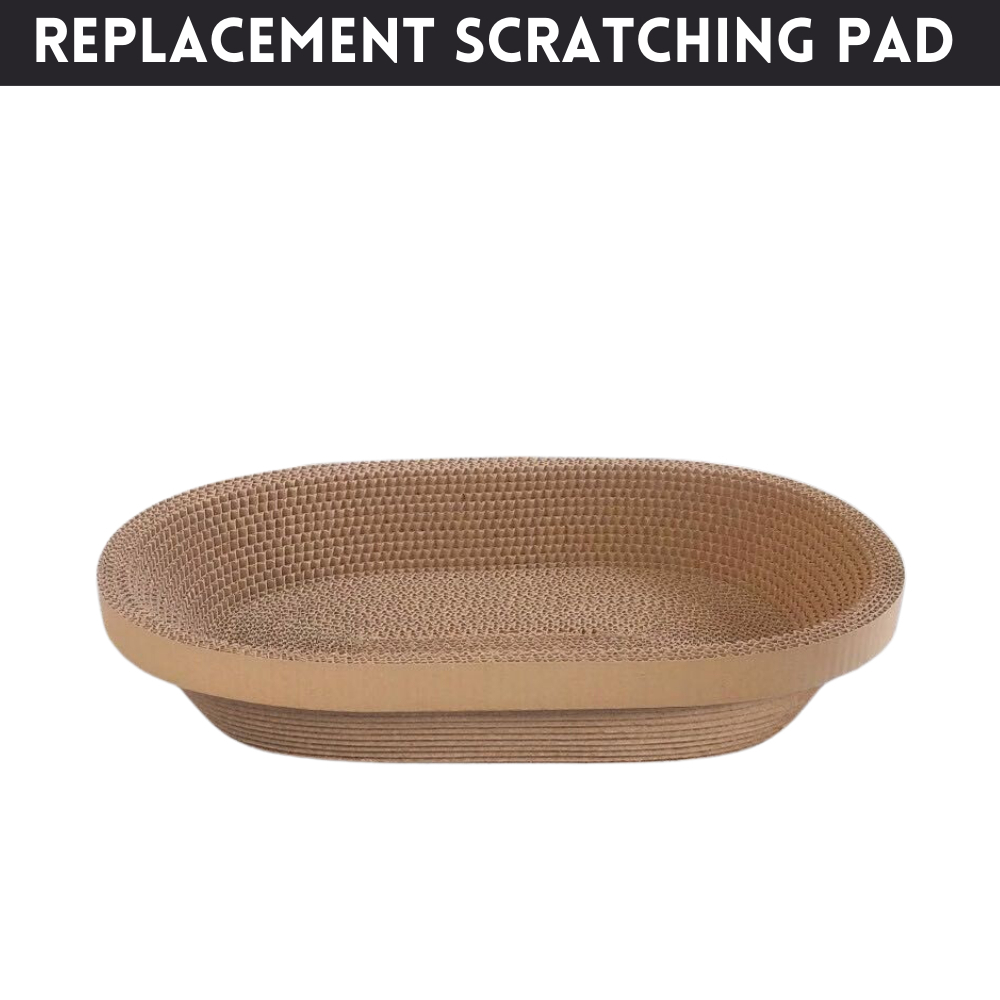 my-11134207-7r98r-lx6emq5s5pioe8