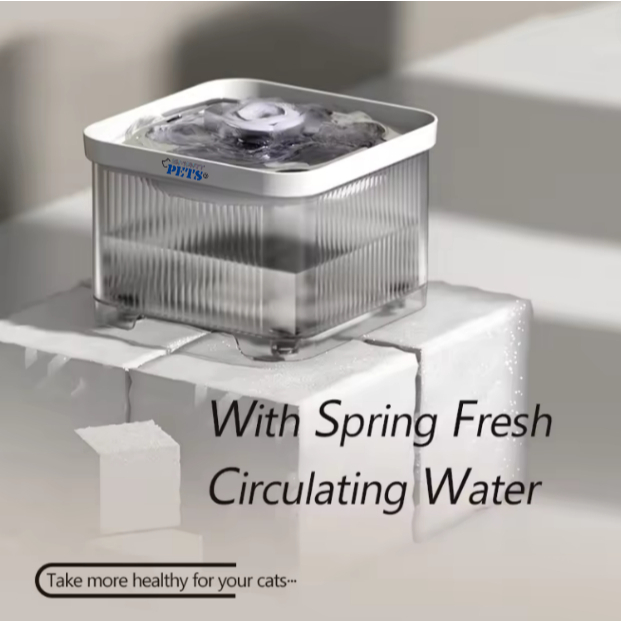 my-11134207-7r98v-lx6drq2phqp6dd