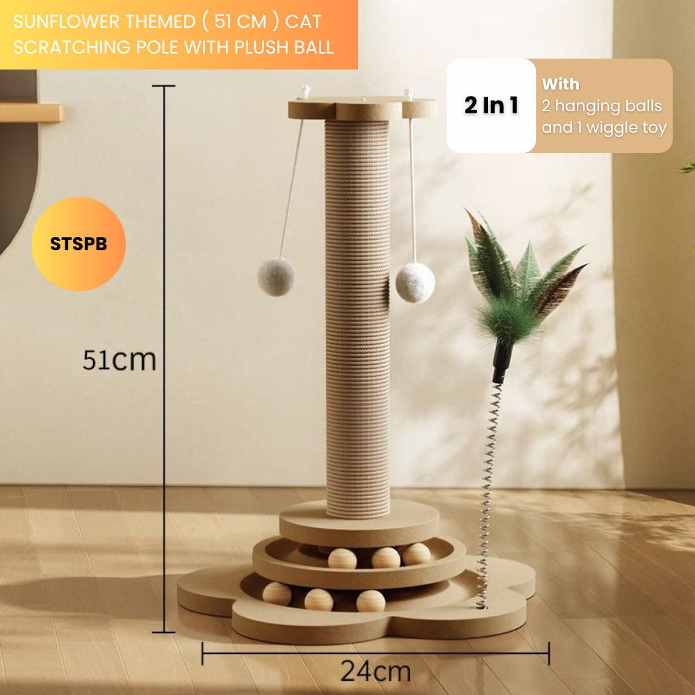 my-11134207-7rasc-mauu3o86w5nu45