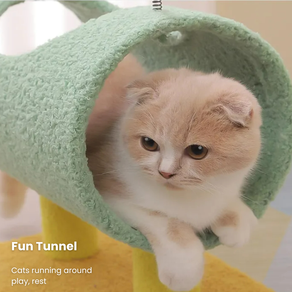 my-11134207-7rask-mbgcoeqpjcw91b