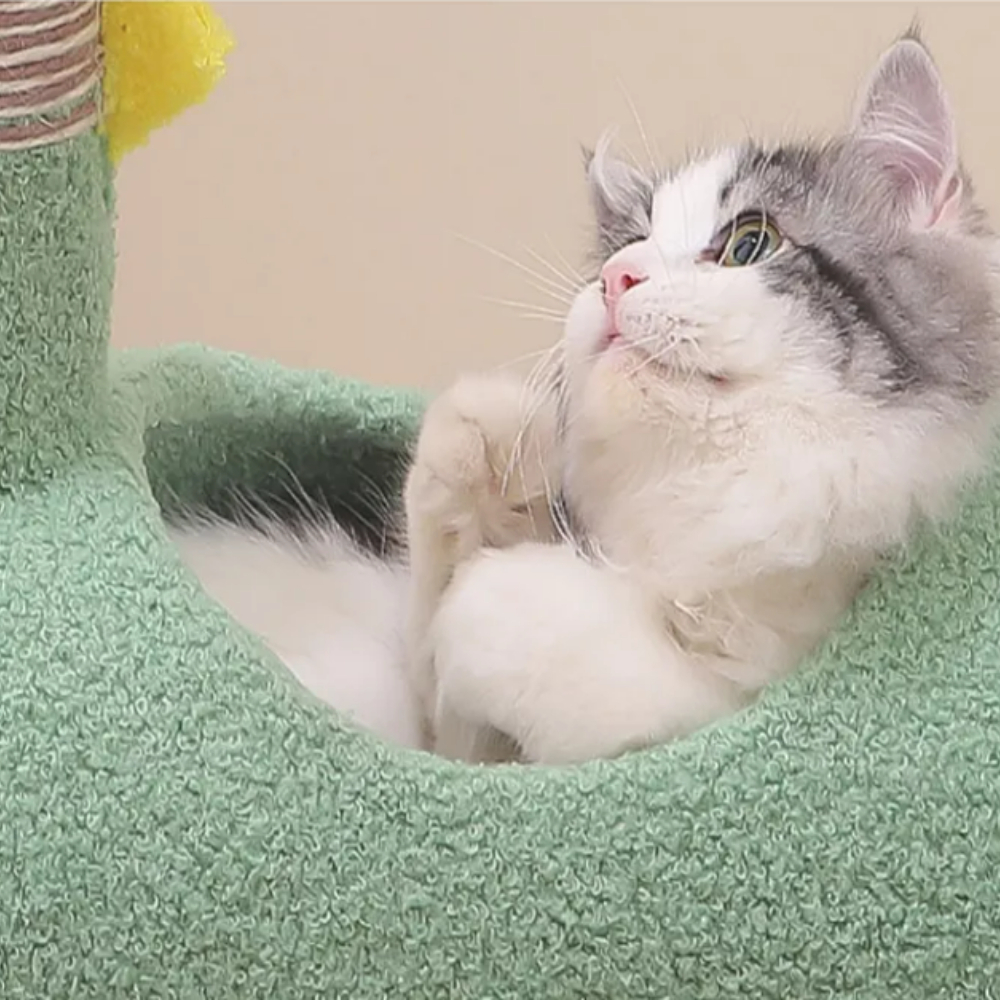 my-11134207-7rask-mbgcoevf17tzb2