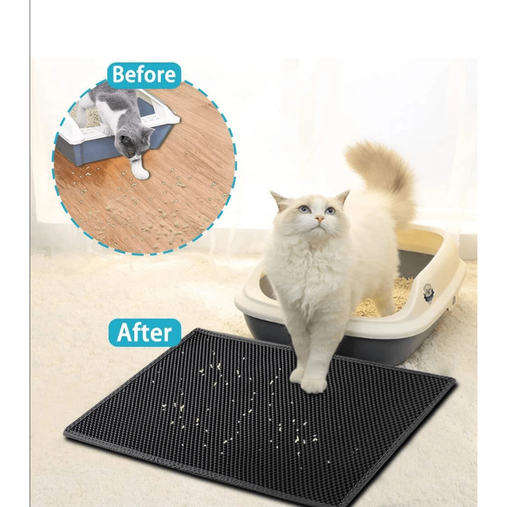 my-11134207-820ld-me84yweyqxvk5e