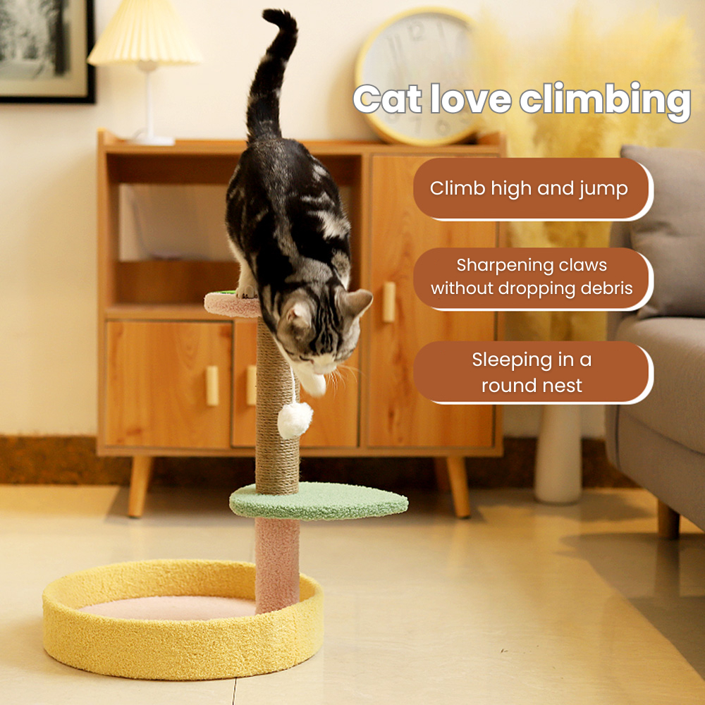 my-11134207-7rasg-mbggcuyvi3frb4